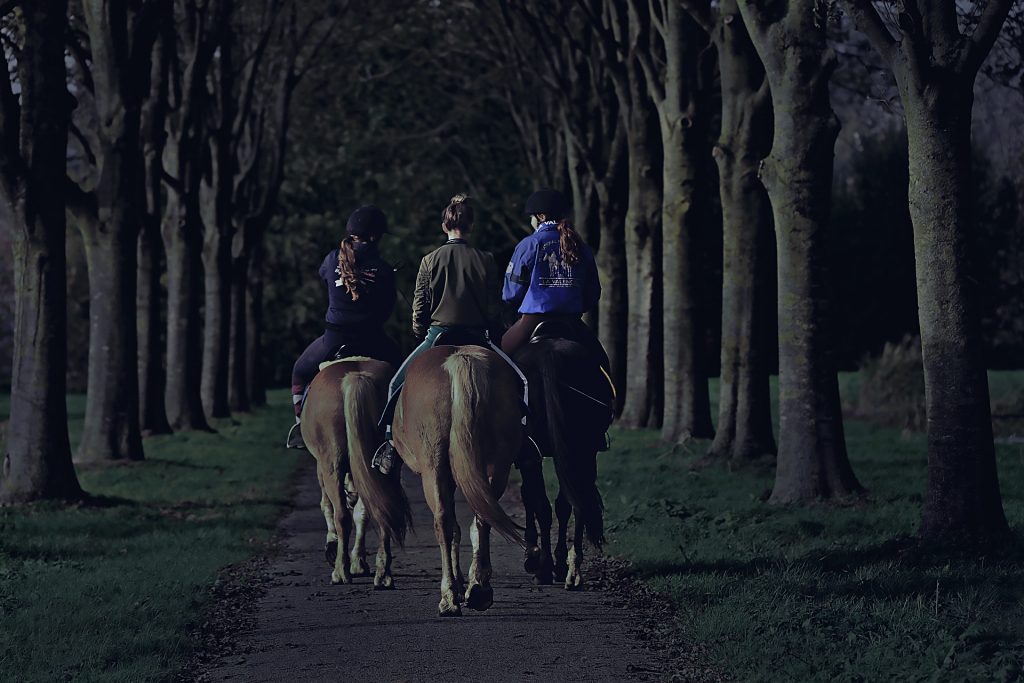 Balade à cheval de nuit