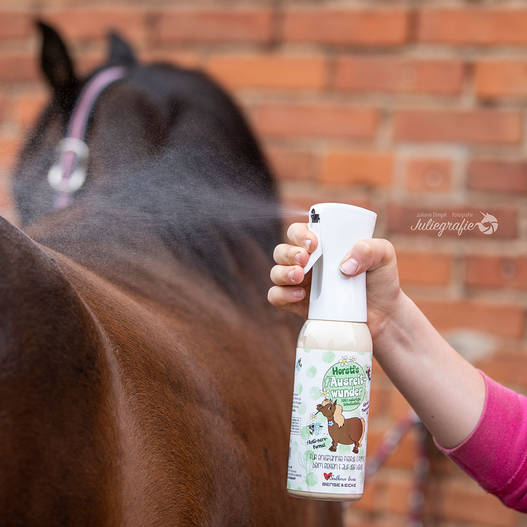 Read more about the article Protéger vos chevaux contre les insectes Volants et Piqueurs
