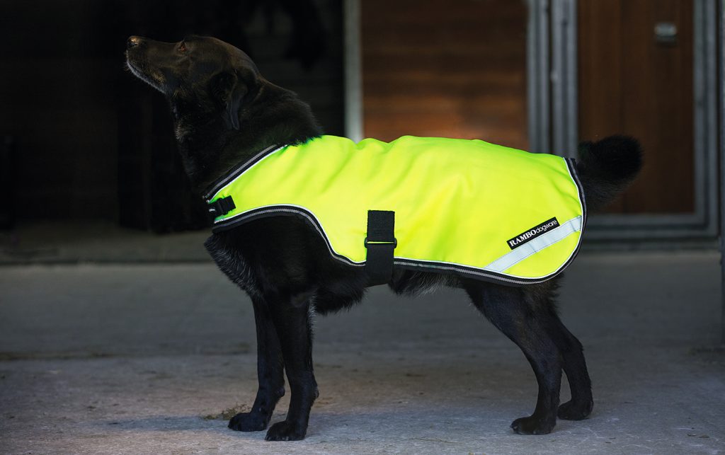 couverture fluorescente et réfléchissante pour chien.