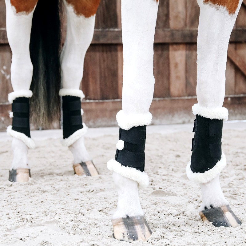 Read more about the article Les incroyables secrets de l’équipement doublé en mouton pour votre cheval