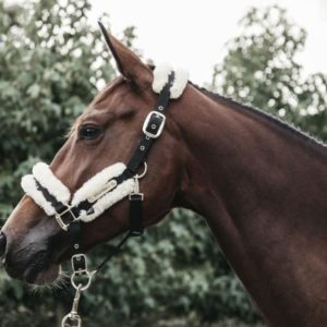 Licol cheval nylon matelassé mouton synthétique - Kentucky Horsewear