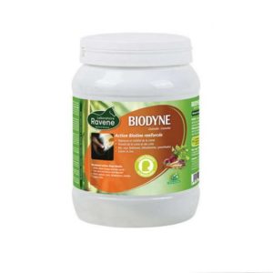 Biotine cheval Biodyne - Ravene