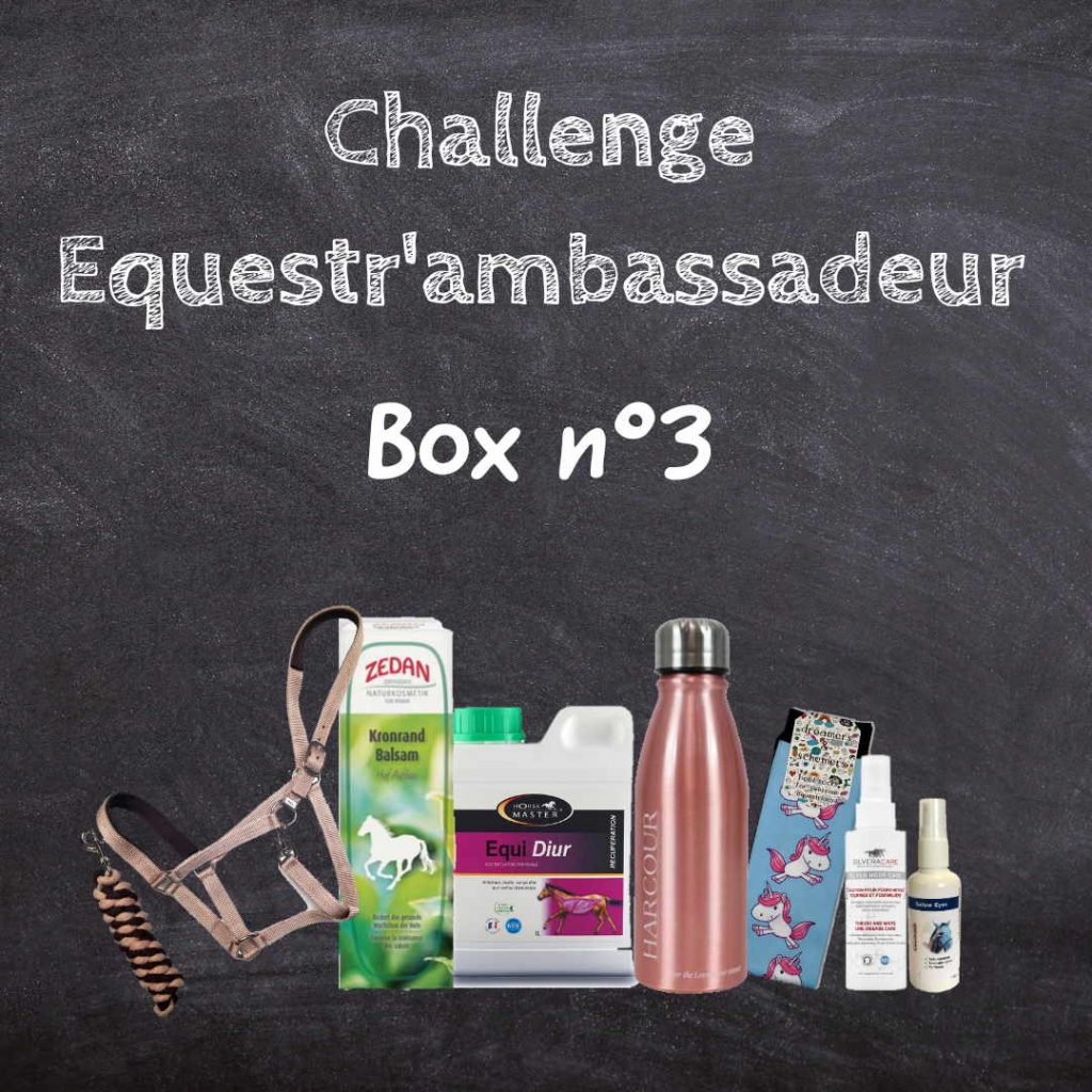 Read more about the article Ambassadeur Equestra : Challenge Testeur du mois
