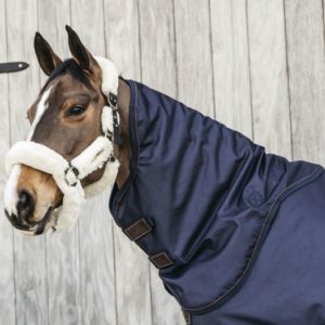 Couvre cou imperméable cheval - Equestra