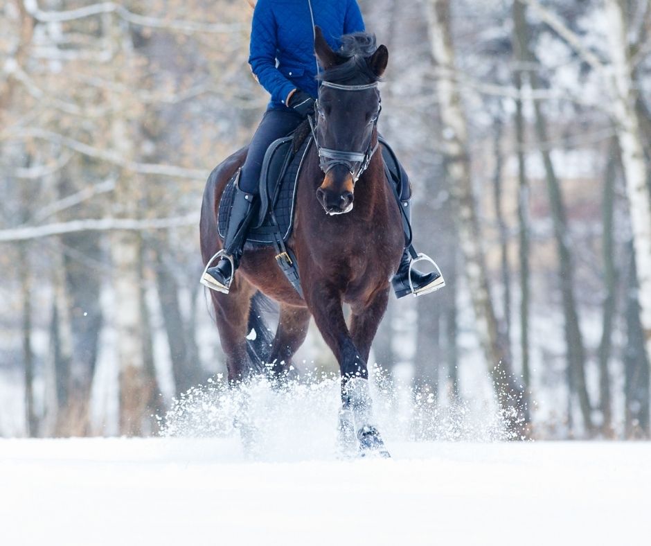 Lire la suite à propos de l’article Nos astuces cavaliers pour affronter l’hiver !