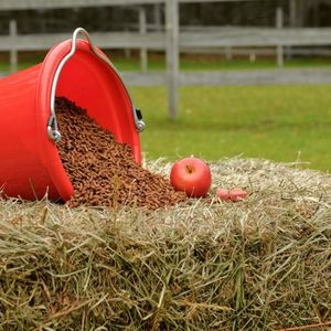 Compléments alimentaire cheval - Equestra
