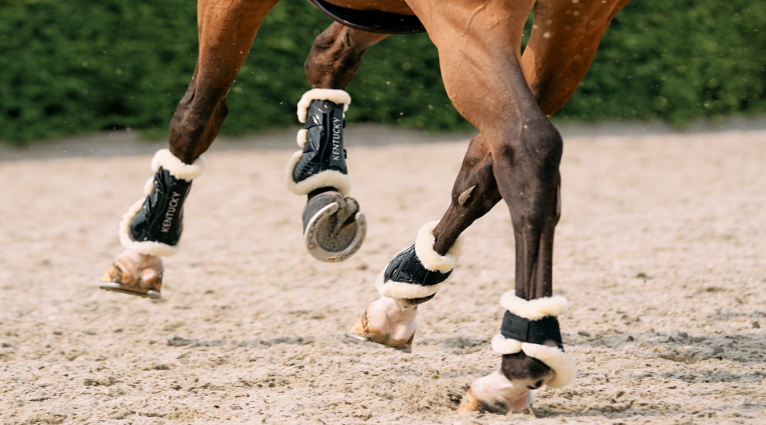 Lire la suite à propos de l’article Les guêtres Tendon Boots Bamboo Shield by Kentucky Horsewear
