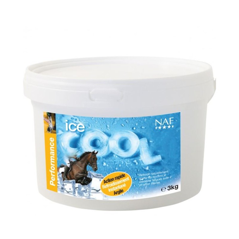 argile refroidissante Ice Cool Naf