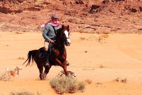 Lire la suite à propos de l’article Librairie Equibooks : L’aventure à cheval par Christophe Leservoisier
