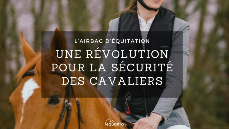 Blog Banner Equestra (2)