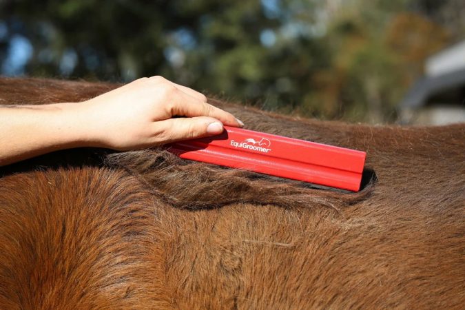 Equigroomer equestra